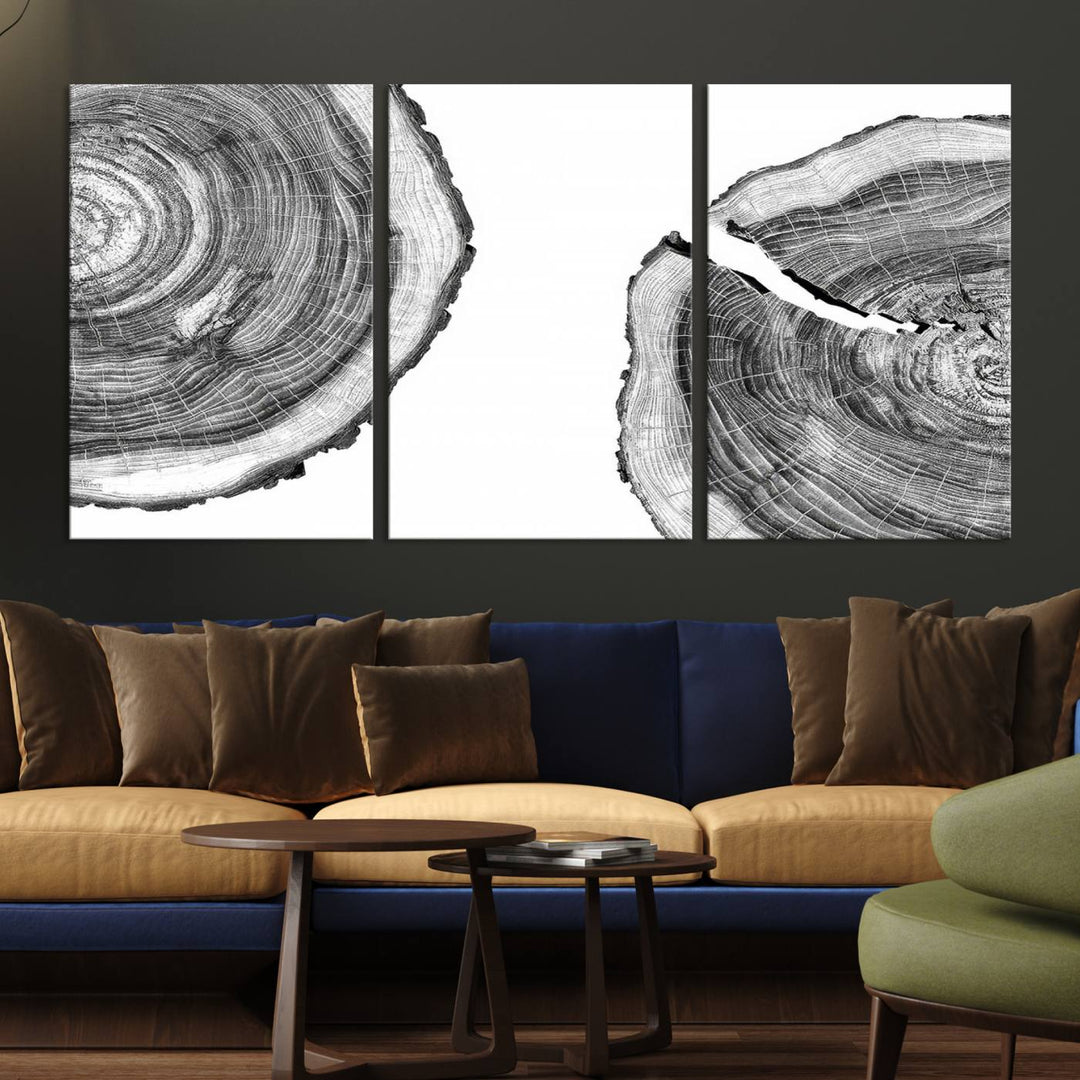 The minimalist art piece Abstract Large Tree Rings on canvas creates a striking focal point.