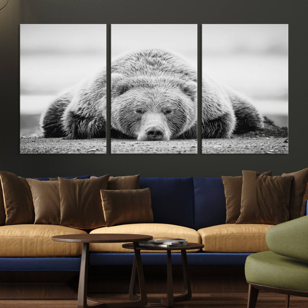 Resting Grizzly Bear wall art displayed in a modern room.