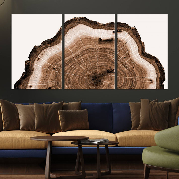 Rustic Wood Rings Wall Art | Nature-Inspired Tree Ring Canvas Print | Ready to Hang and Framed for Farmhouse Wall Decor