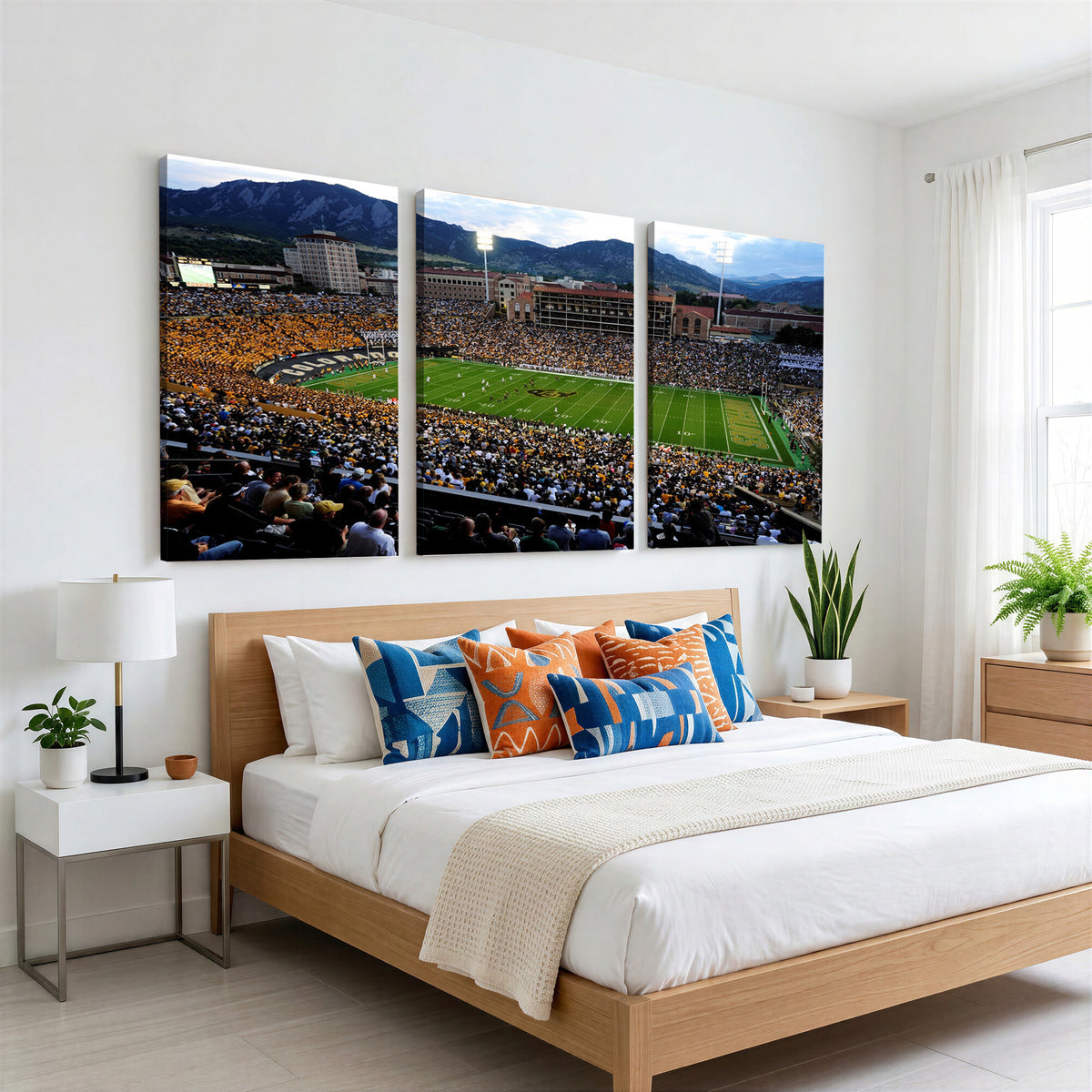 60552-MGV-CV-36X24 - Folsom Field, University of Colorado Buffaloes Football
