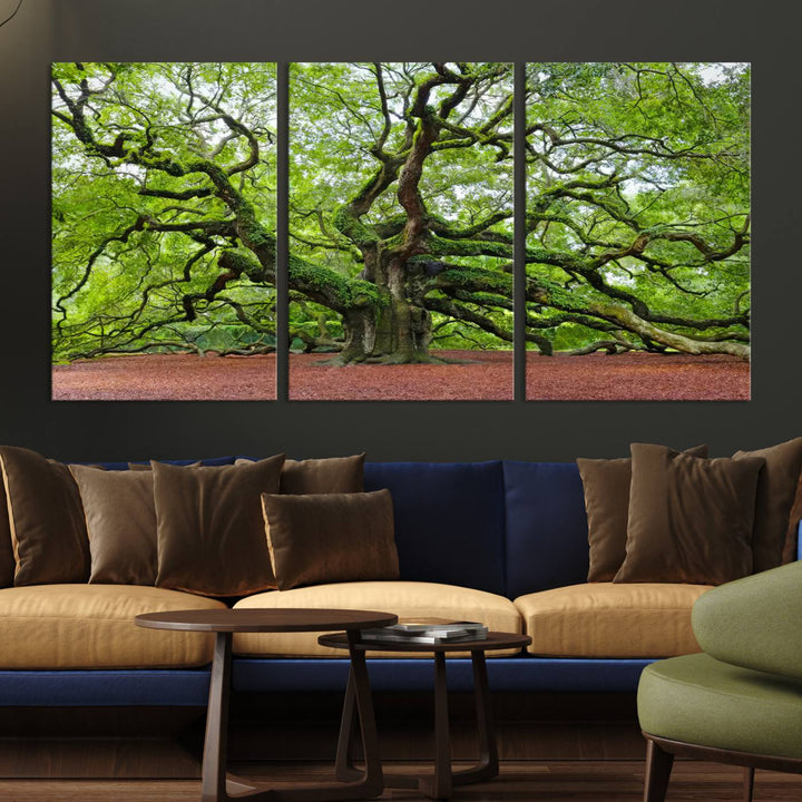 Framed Angel Oak Tree Wall Art - 3-Panel Canvas Prints, Large Green Nature Artwork, Ready to Hang Home Decor for Living Room, Office, Bedroom