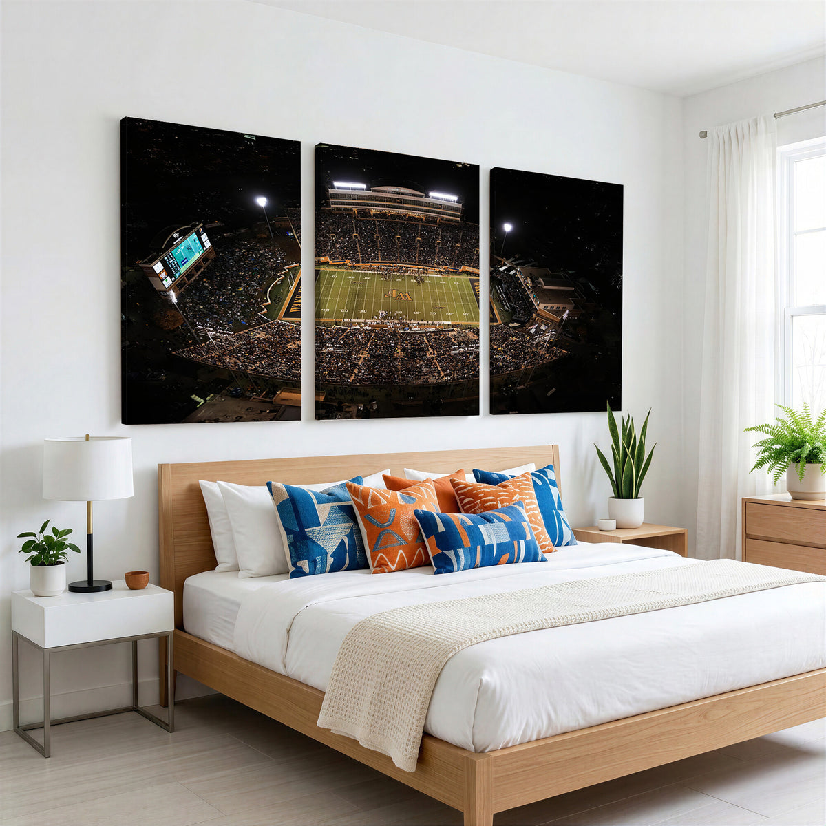 20605-MGV-CV-36X24 - Wake Forest University Demon Deacons Canvas Print, Football Team Wall Art