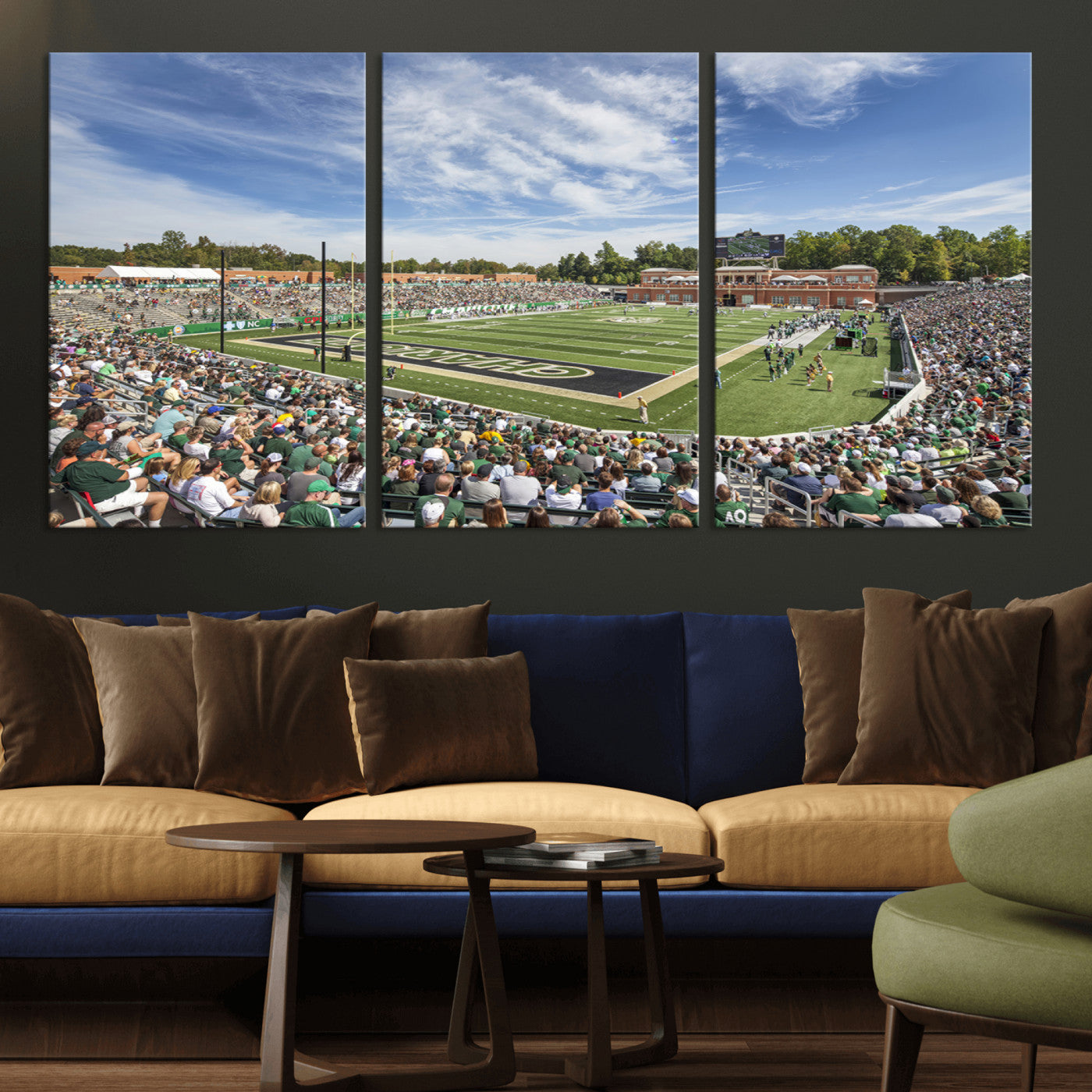 MGV-CV-60X30-3P - University of Charlotte 49ers Football Team Print - Charlotte Jerry Richardson Stadium Canvas Print