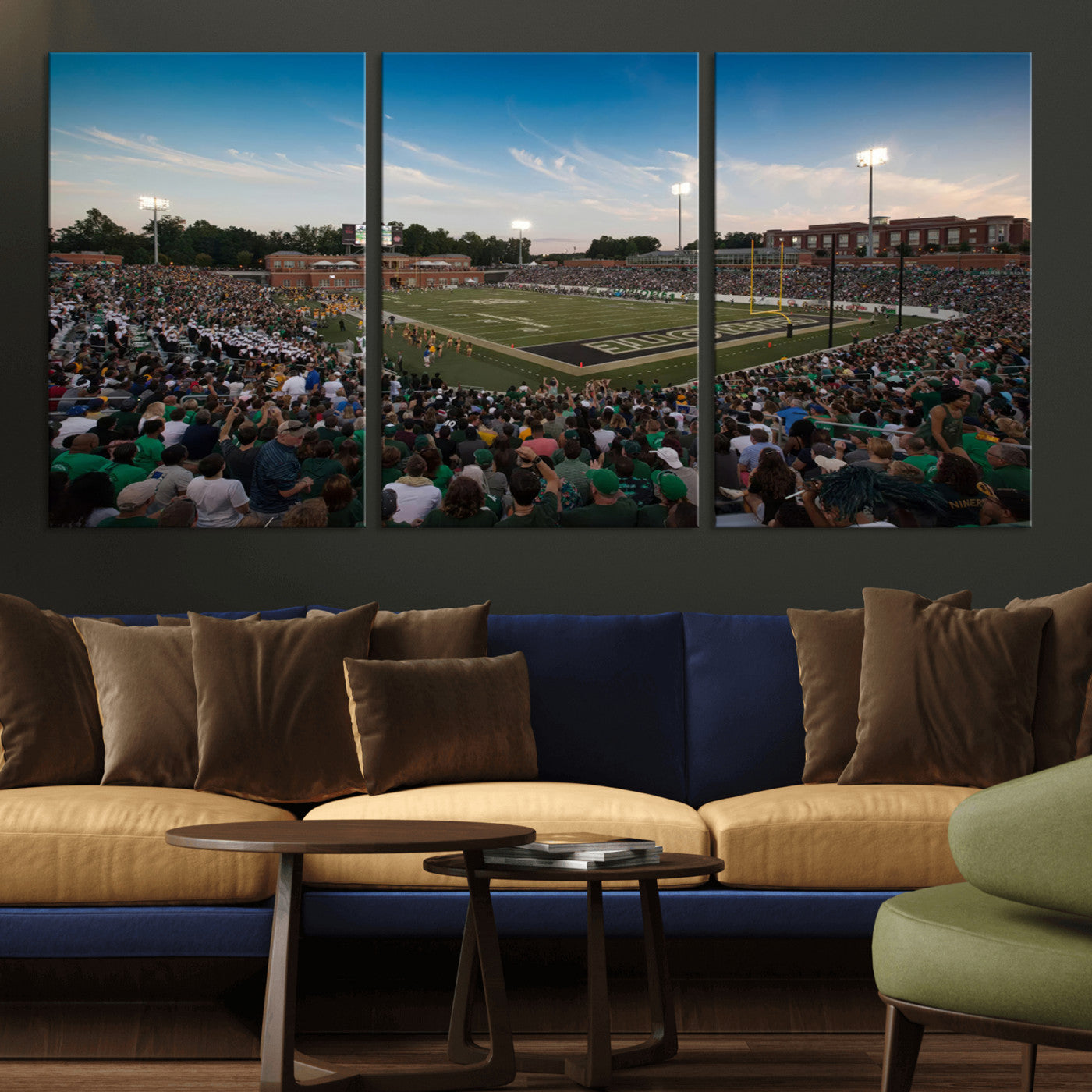 MGV-CV-60X30-3P - University of Charlotte 49ers Football Team Print - Charlotte Jerry Richardson Stadium Wall Art