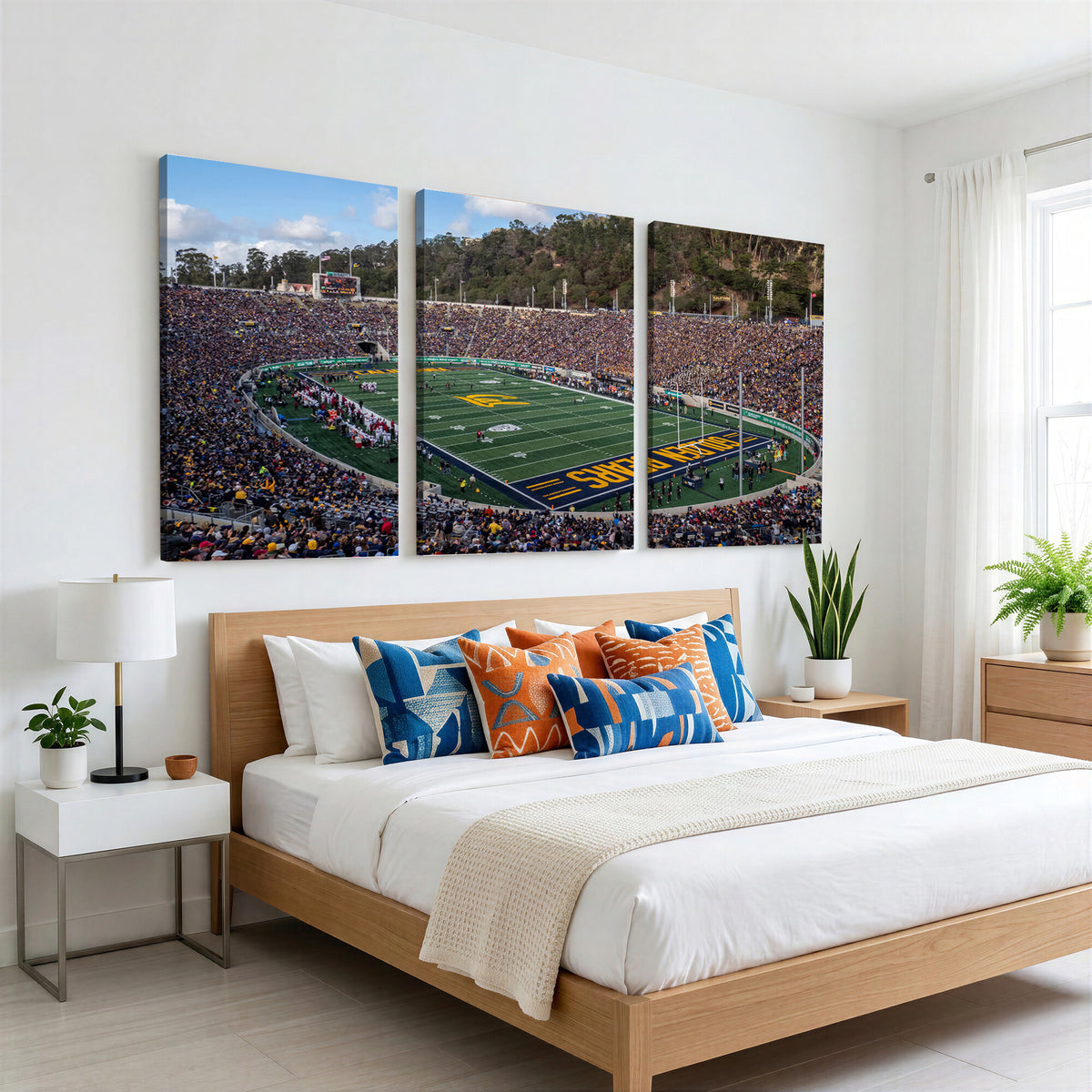 38054-MGV-CV-36X24 - University of California Golden Bears Football Team Print - Berkeley California Memorial Stadium Art