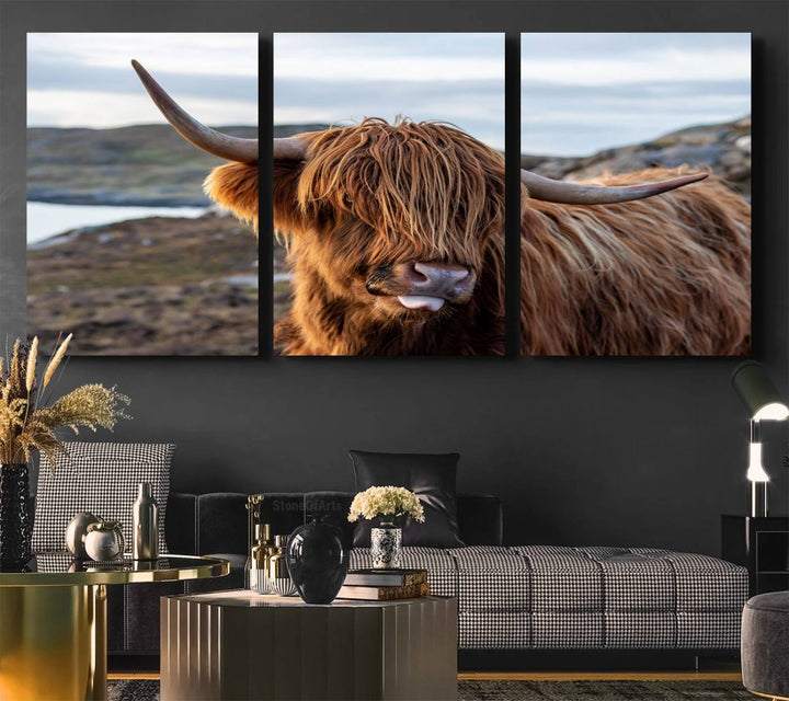 The Cuddly Highland Cow Canvas hangs, adding charm with its shaggy elegance.