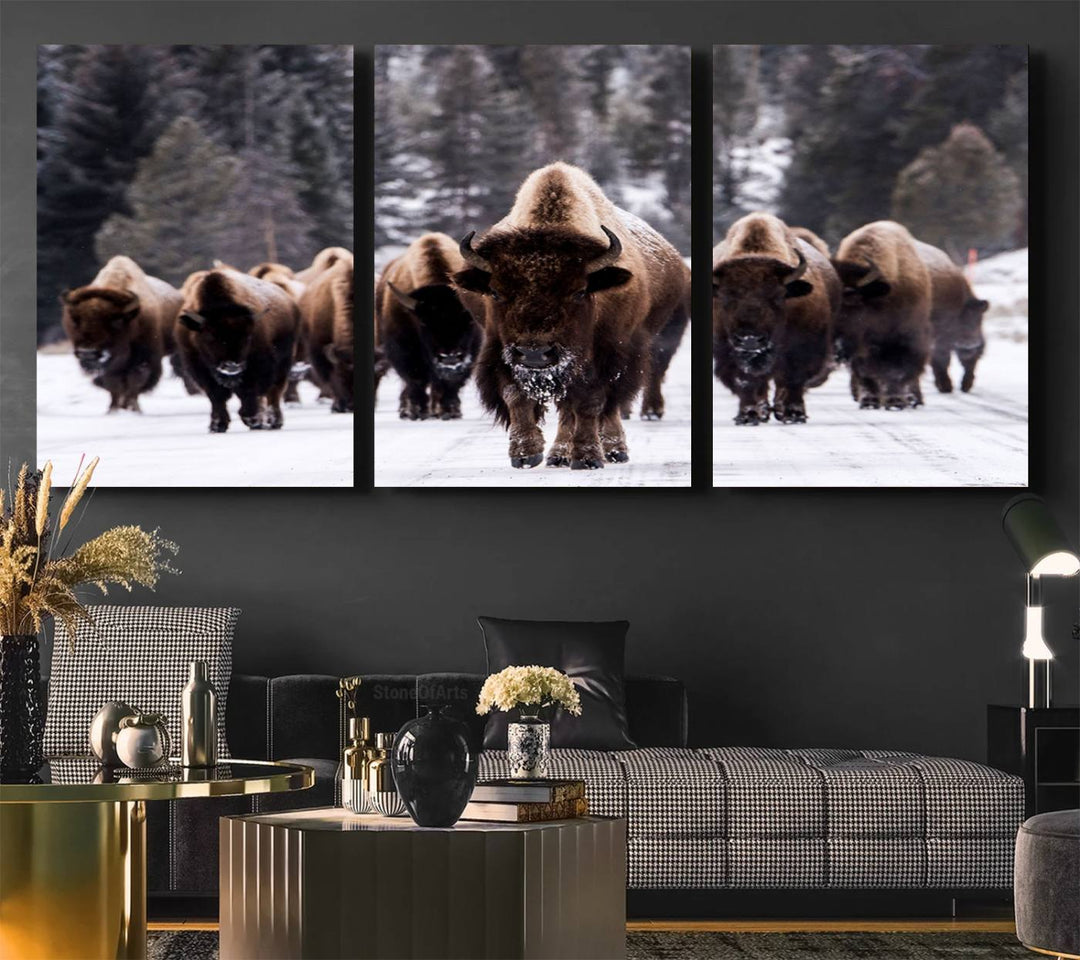 Bison Herd Canvas Wall Art.