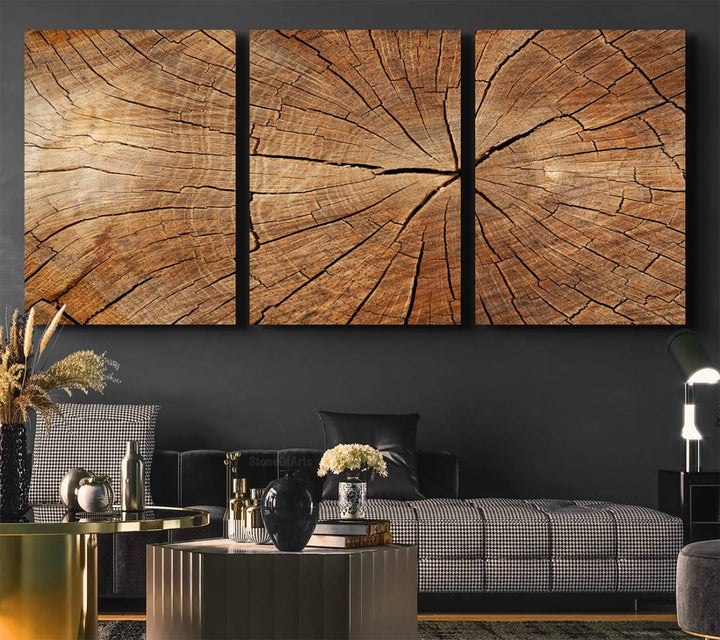 Tree Ring Canvas Art decorates a textured wall.