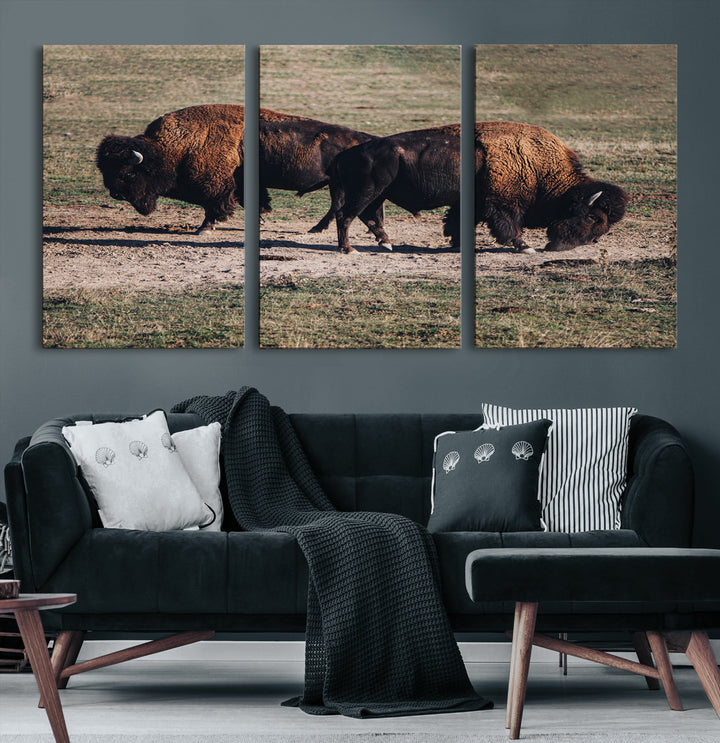 Bison Photography Wall Art Canvas Print, Framed Western Wildlife Art Picture Print, Modern Ranch Perfect Western Rustic Decor Artwork