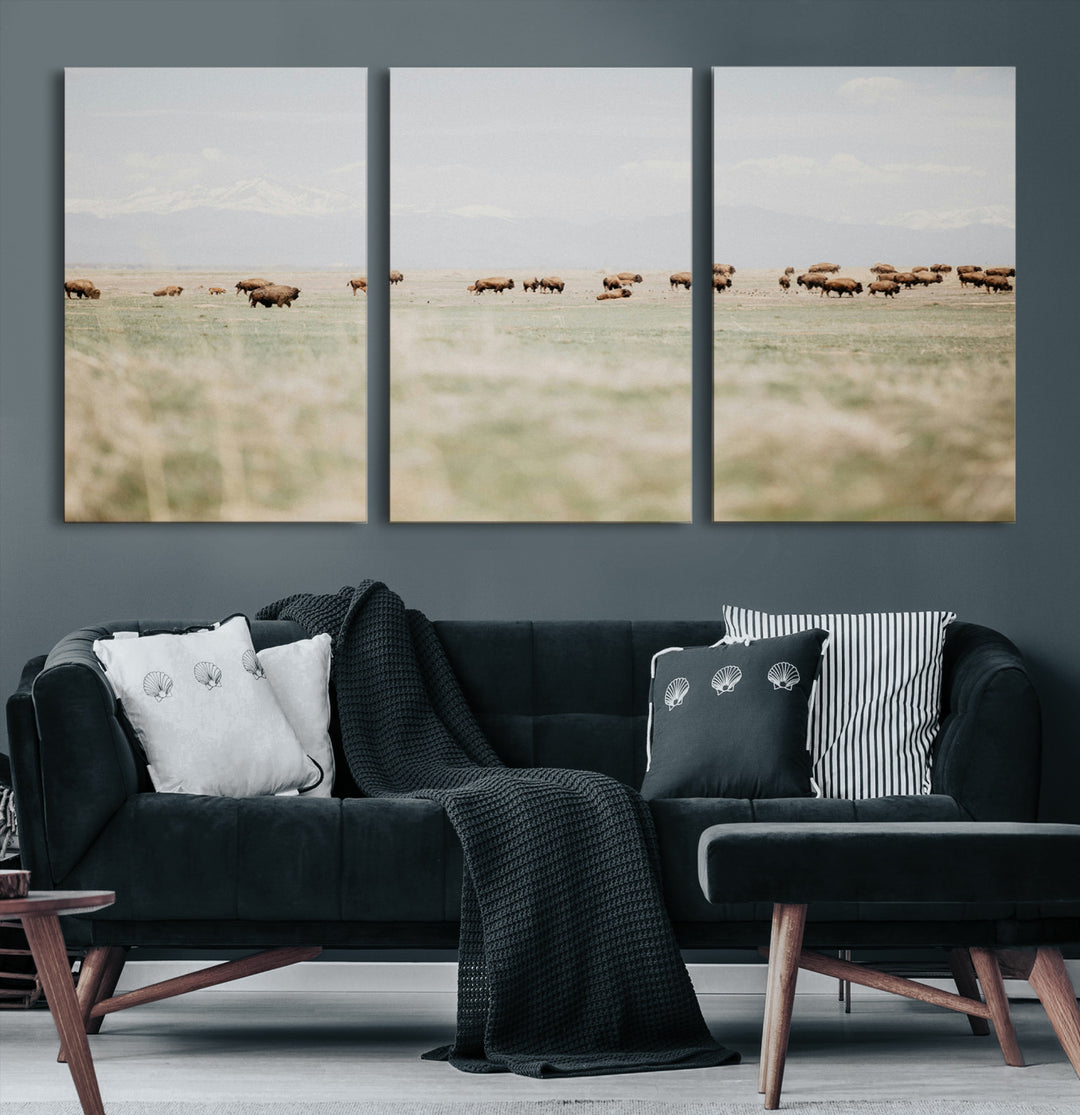 Bison Herd Wall Art Canvas Print, Framed Western Art Picture Print, Bison Perfect Ranch Decor Artwork