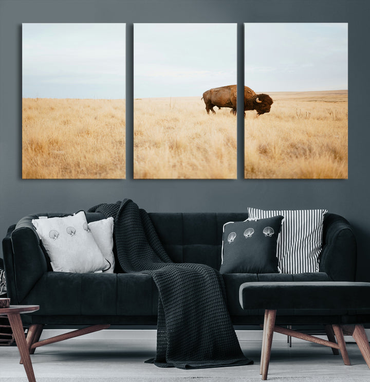 A lone bison standing in a vast golden grassland under a soft blue sky, evoking a rustic and Western aesthetic, ideal for farmhouse decor.