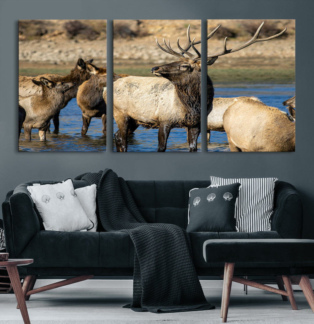 Group of elk standing in shallow water with dry rocky terrain in the background, showcasing wildlife in a natural setting for rustic decor.