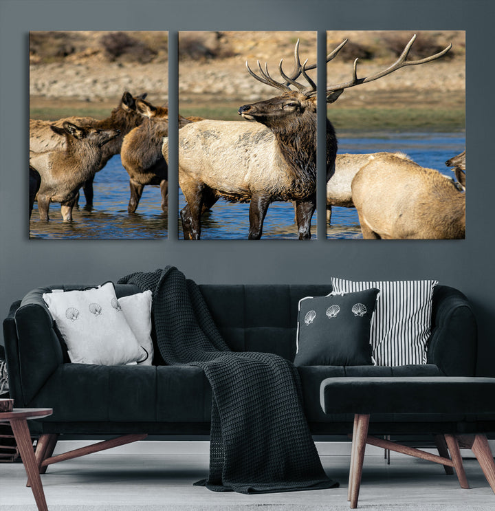 Group of elk standing in shallow water with dry rocky terrain in the background, showcasing wildlife in a natural setting for rustic decor.