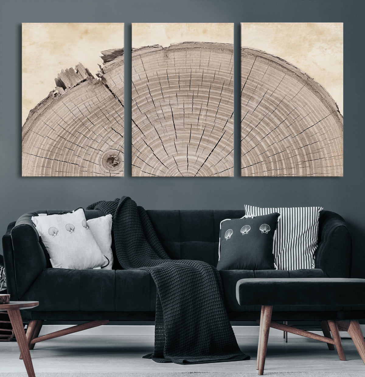 64174838-MGV-CV-60X30-3P - Tree Ring Canvas Wall Art in Neutral Earth Tones, Framed Wood Slice Print for Rustic and Japandi Interiors
