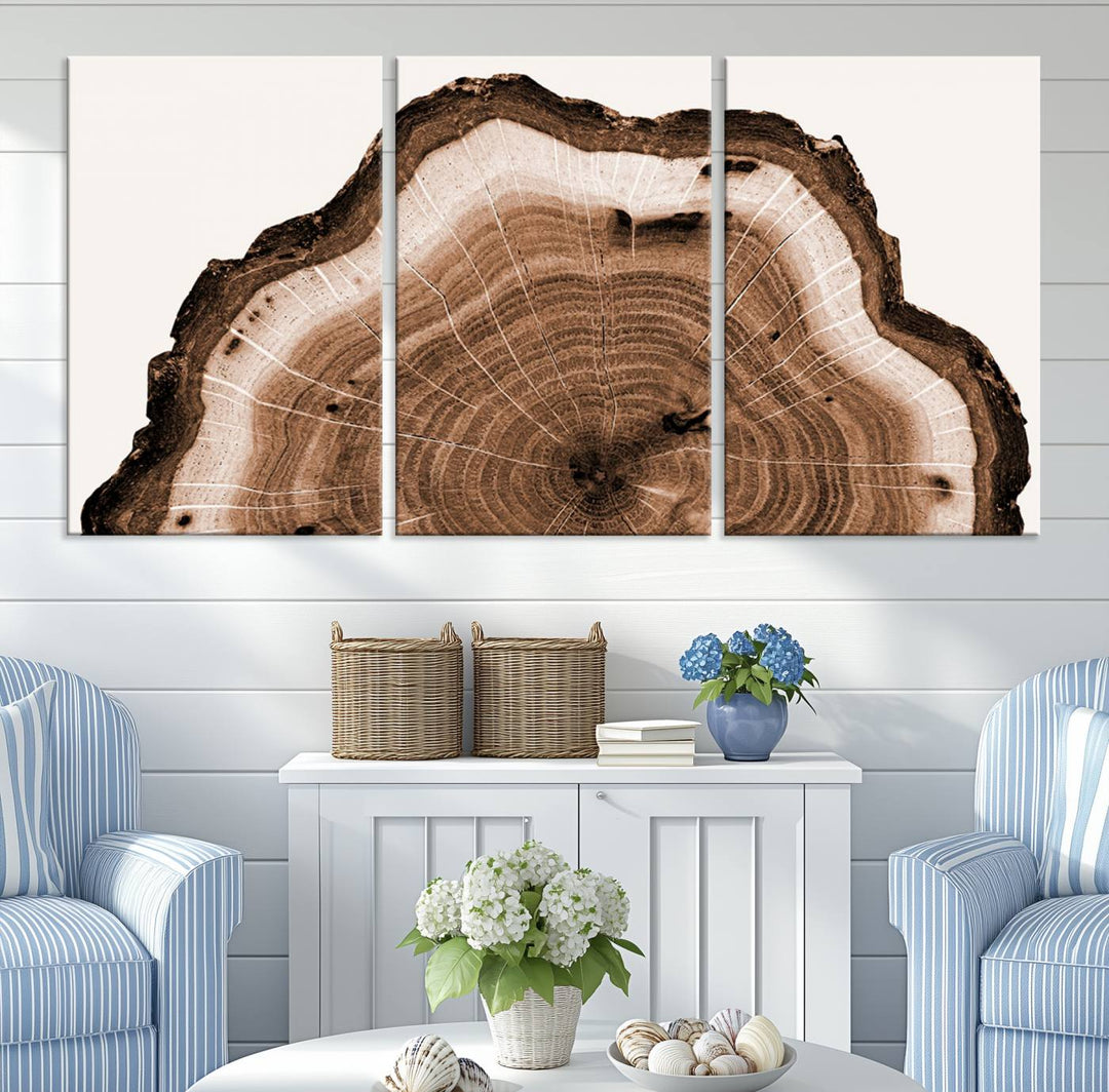 Close-up of the Rustic Wood Rings Wall Art featuring detailed tree rings and natural texture on a plain white background.