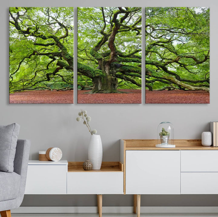 Framed Angel Oak Tree Wall Art - 3-Panel Canvas Prints, Large Green Nature Artwork, Ready to Hang Home Decor for Living Room, Office, Bedroom