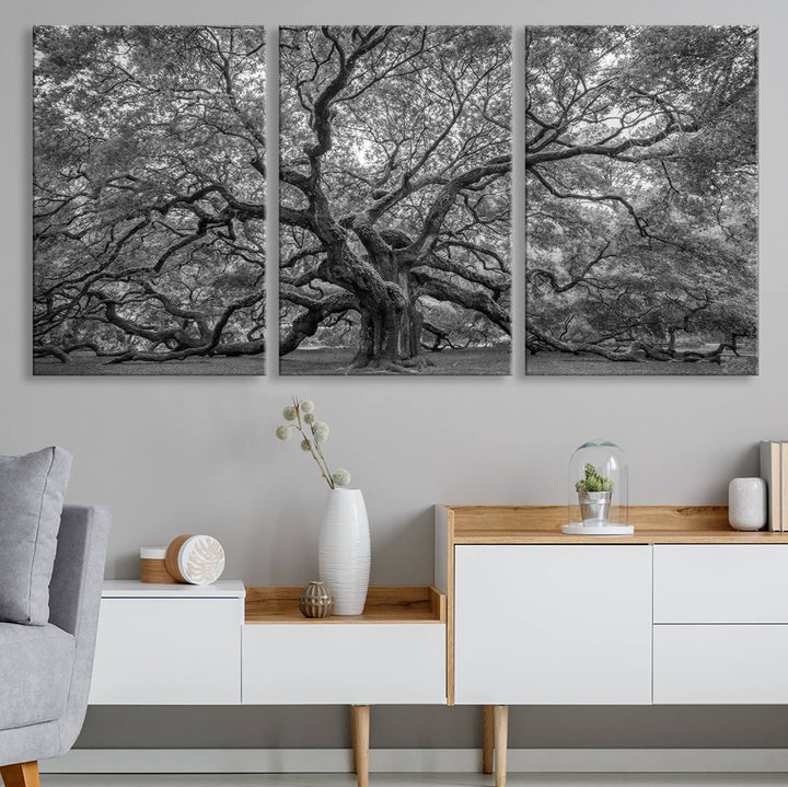 Majestic Angel Oak Tree Black and White Canvas Print – Multi Panel Wall Art, Giclée Print, Ready to Hang Nature Photography for Home Decor