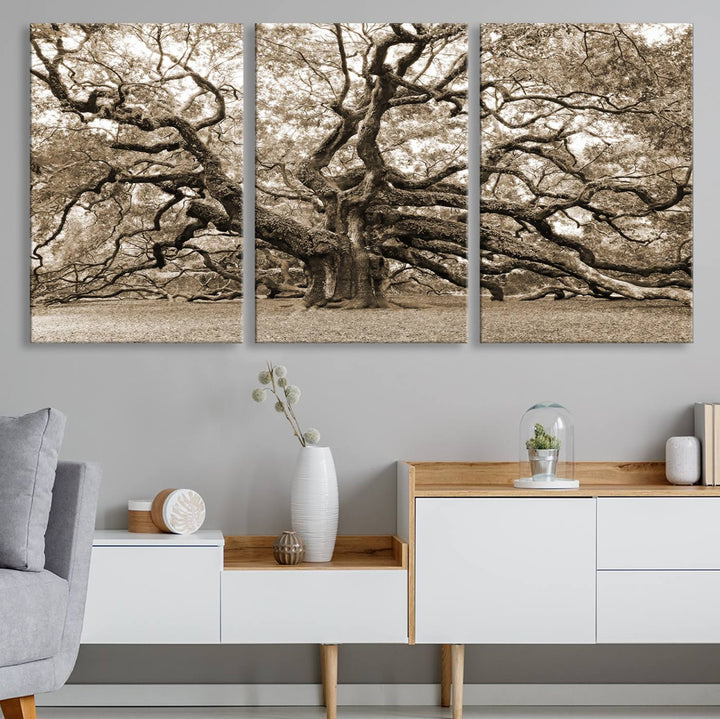 Displayed on the wall is a Sepia-framed Angel Oak Tree 3-panel canvas.