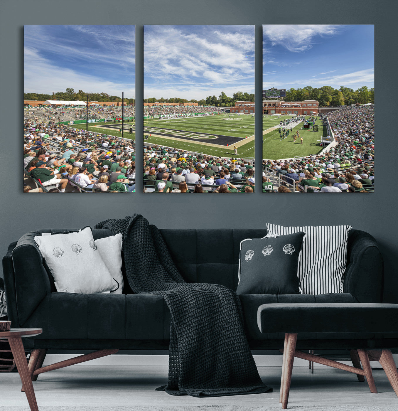 MGV-CV-60X30-3P - University of Charlotte 49ers Football Team Print - Charlotte Jerry Richardson Stadium Canvas Print