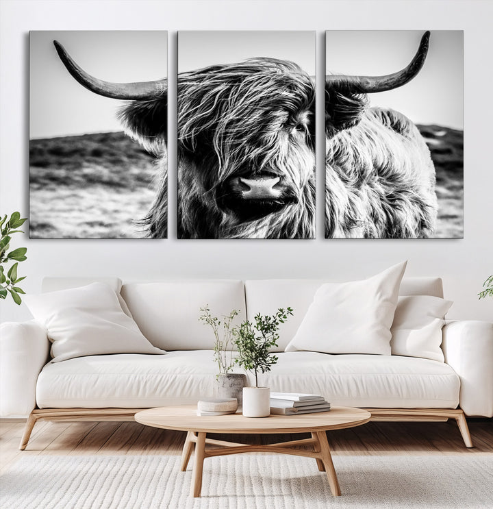 Highland Cow Wall Art | 3-Panel Black and White Highland Cow Canvas Print for Western Farmhouse Decor