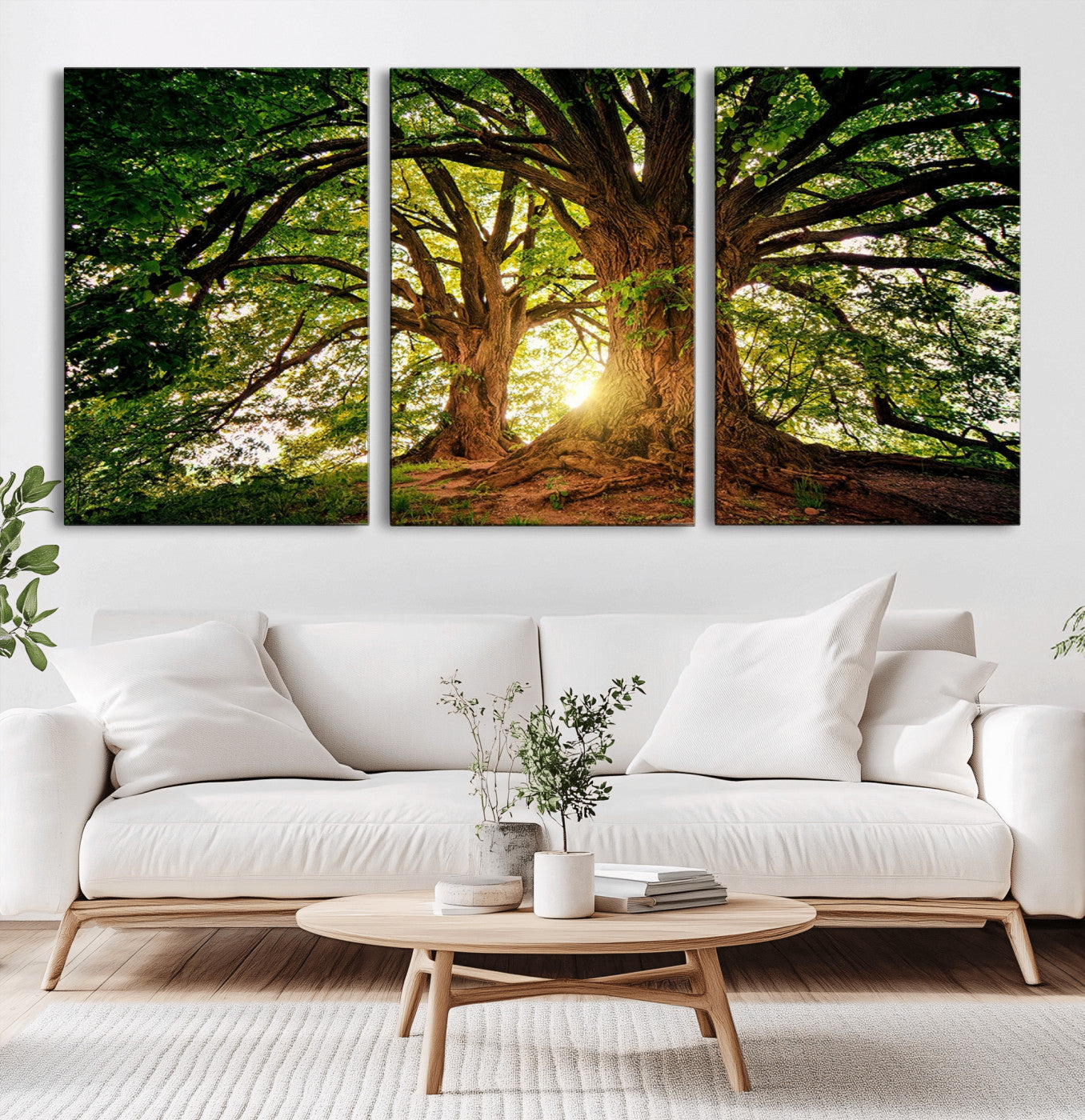 MGV-CV-60X30-3P - Majestic Ancient Tree Wall Art, NatureCanvas Print, Woodland Art, Tree of Life Artwork, Sunlit