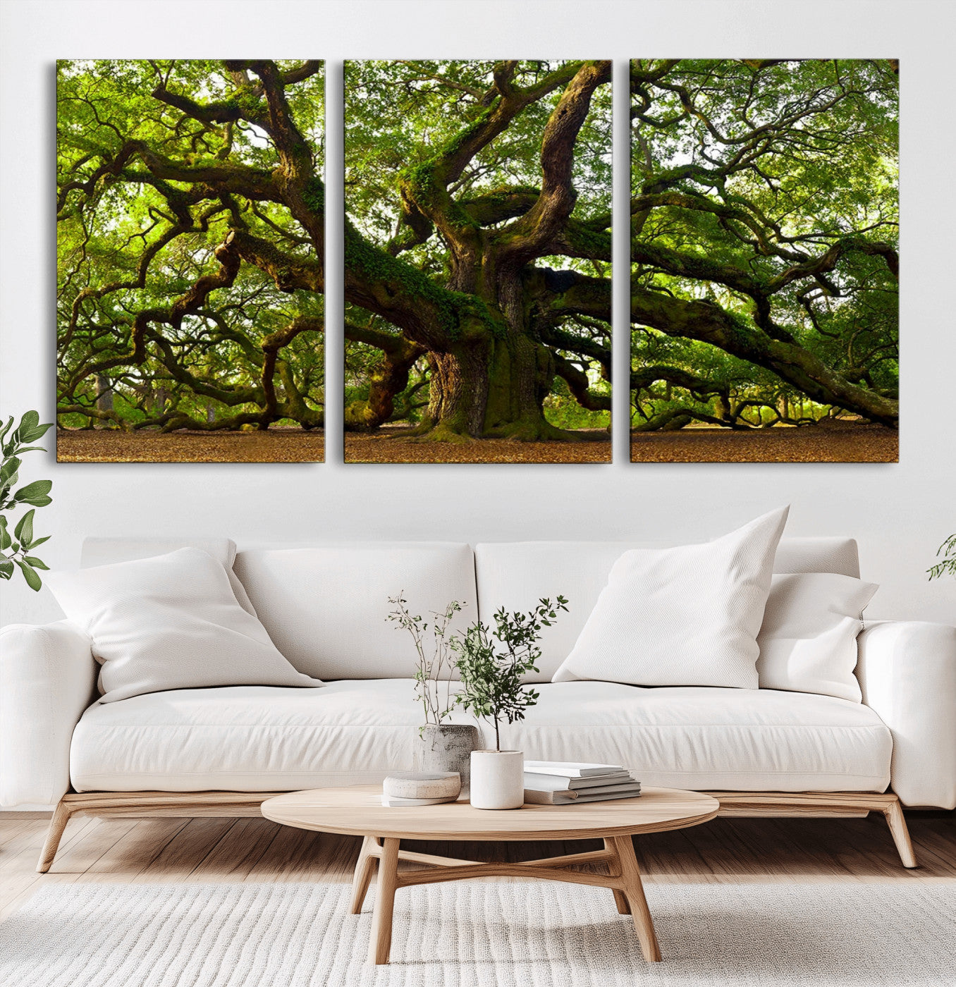 MGV-CV-60X30-3P - Angel Oak Tree Wall Art Canvas Print | Forest Tree Nature Photography Print on Canvas | Large