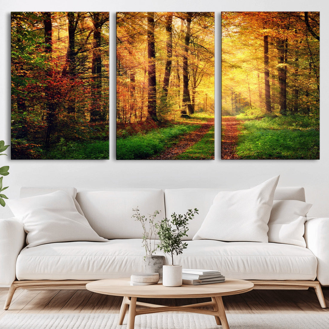 Sunlight Through Trees Wall Art Canvas Print | Autumn Forest Wall Art