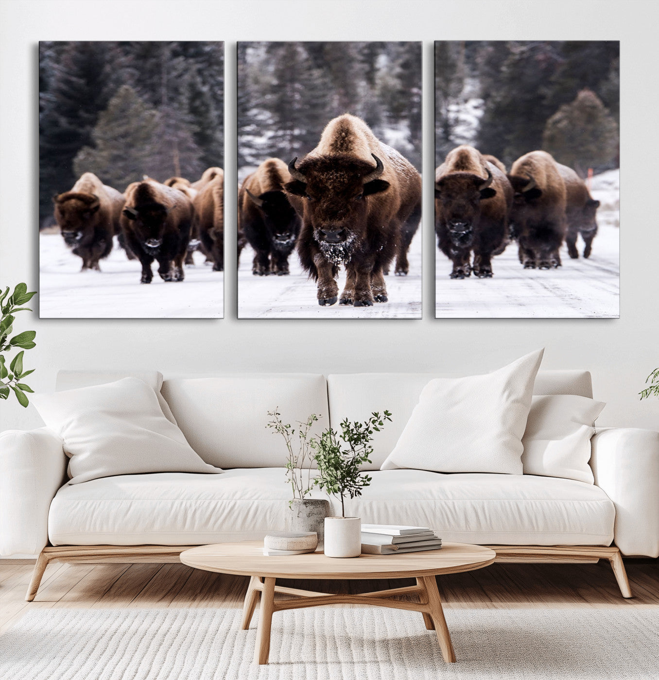 MGV-CV-60X30-3P - Bison Wall Art Canvas Print- Bison Herd Canvas Wall Art – Majestic Wildlife Photography – Framed and