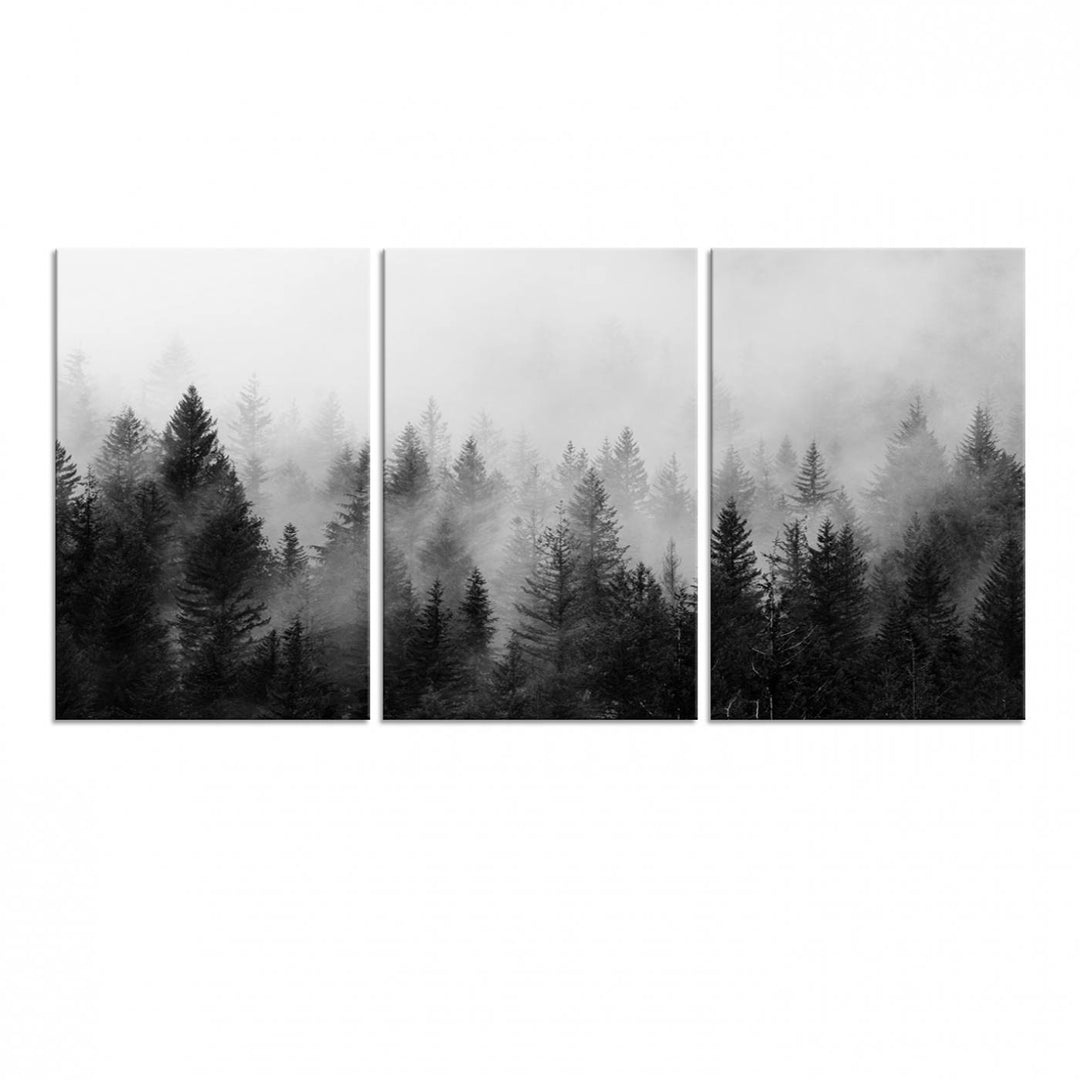 Fogy Forest Canvas Art features misty pines and a mountain landscape.