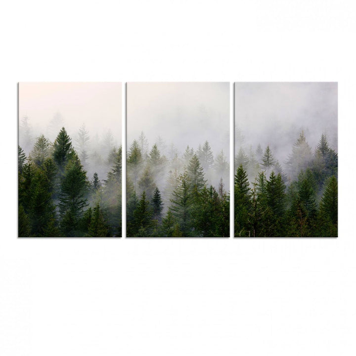 A serene, foggy evergreen forest creates a mysterious atmosphere, ideal for premium canvas wall art.