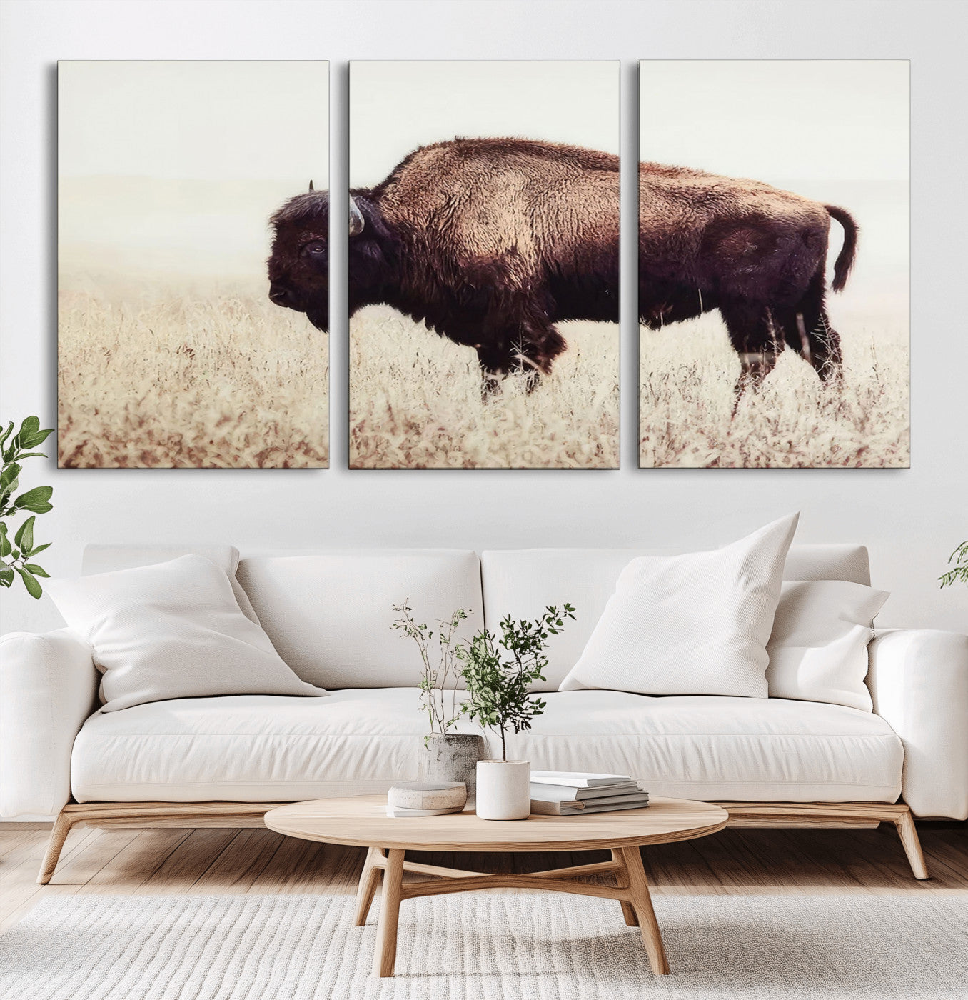 MGV-CV-60X30-3P - Bison in Field Wall Art Canvas Print For Farmhouse Barn Decor