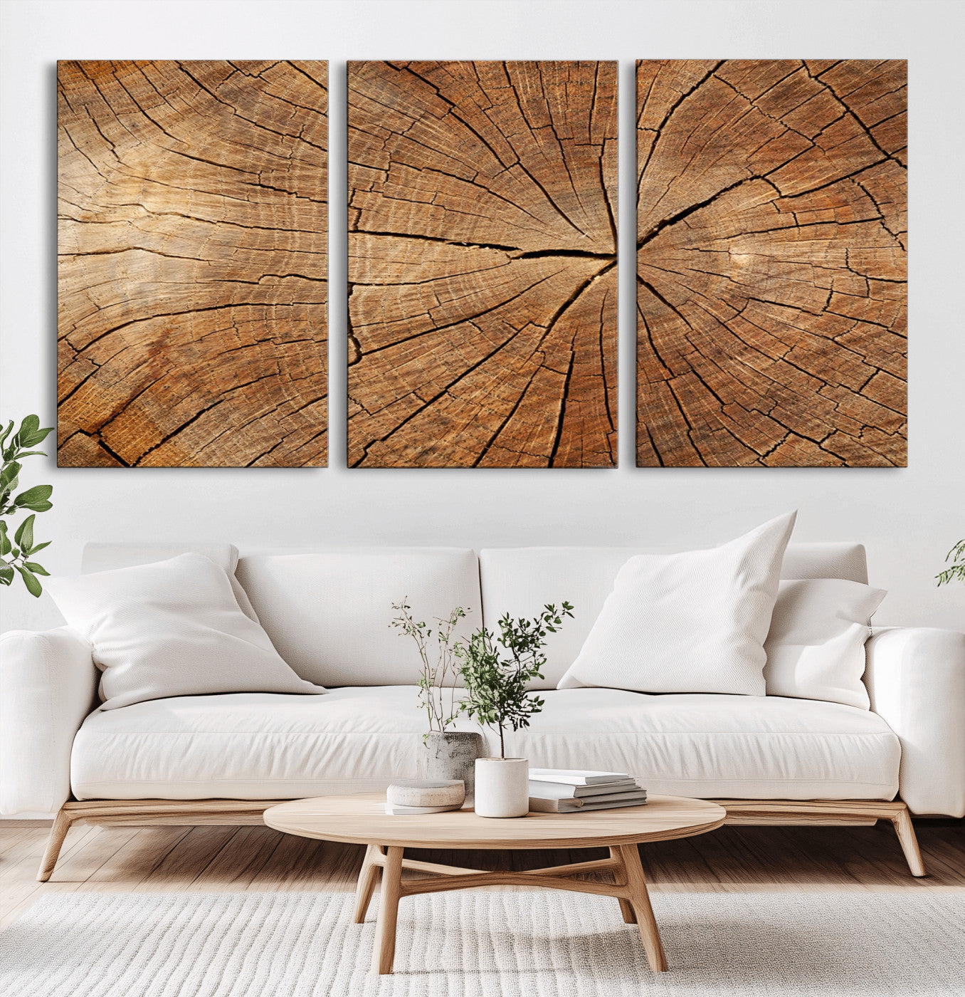 MGV-CV-60X30-3P - Tree Ring Canvas Art, Rustic Wood Grain Wall Art, Tree Slice Decor for Modern Homes, Giclee