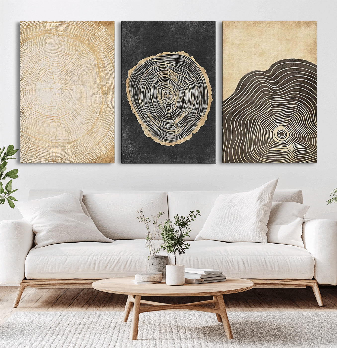 MGV-CV-60X30-3P - Tree Rings Canvas Wall Art Print – Minimalist Natural History in Modern Decor - Minimalist Boho Wall