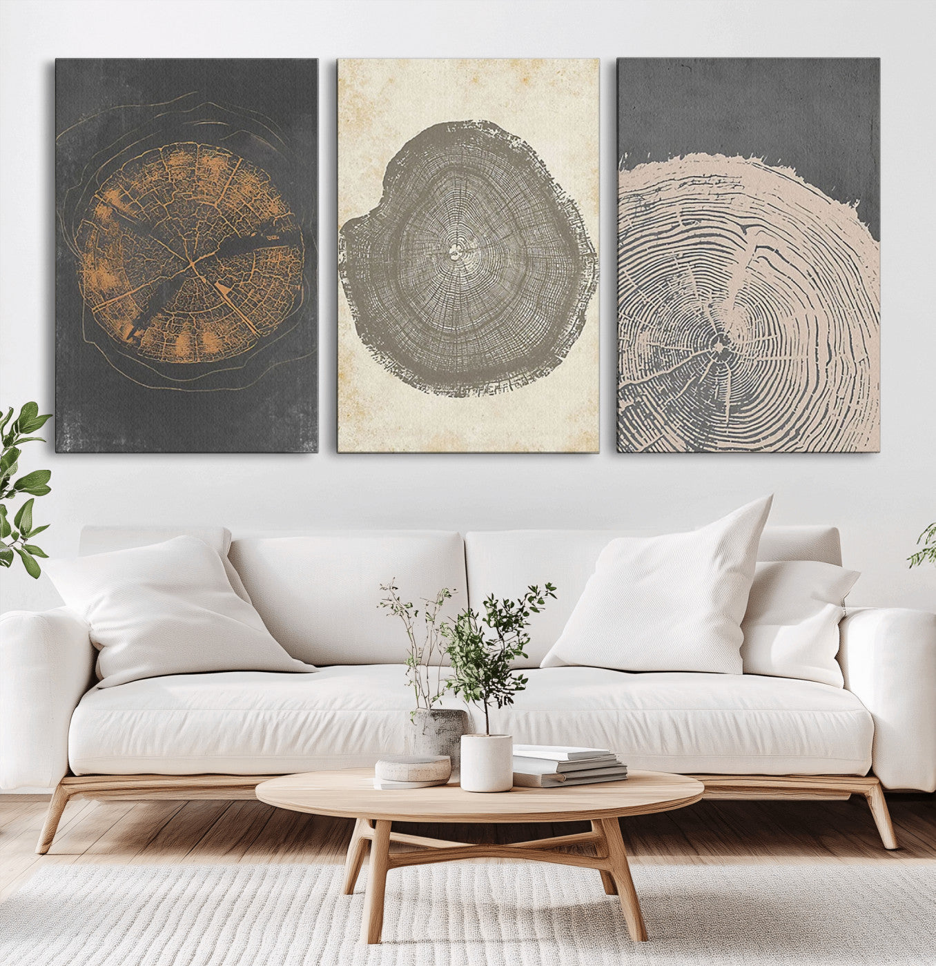 MGV-CV-60X30-3P - Boho Tree Ring Wall Art, Modern Minimalist Wood Grain Canvas, Tree Slice for Rustic Decor, Farmhouse
