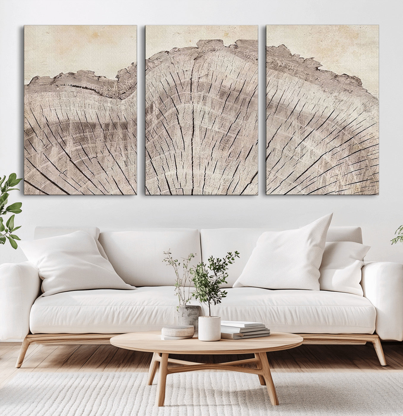 MGV-CV-60X30-3P - Tree Ring Wall Art Triptych, Rustic Wood Ring Canvas Print, Minimalist Wall Decor for Modern Homes