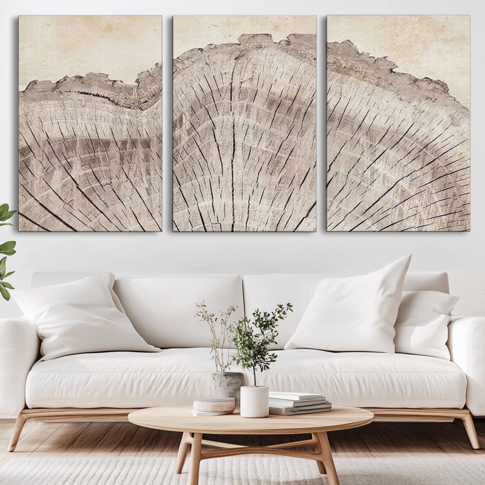 67528-MGV-CV-36X24-Tree Ring Wall Art Triptych, Rustic Wood Ring Canvas Print, Minimalist Wall Decor for Modern Homes