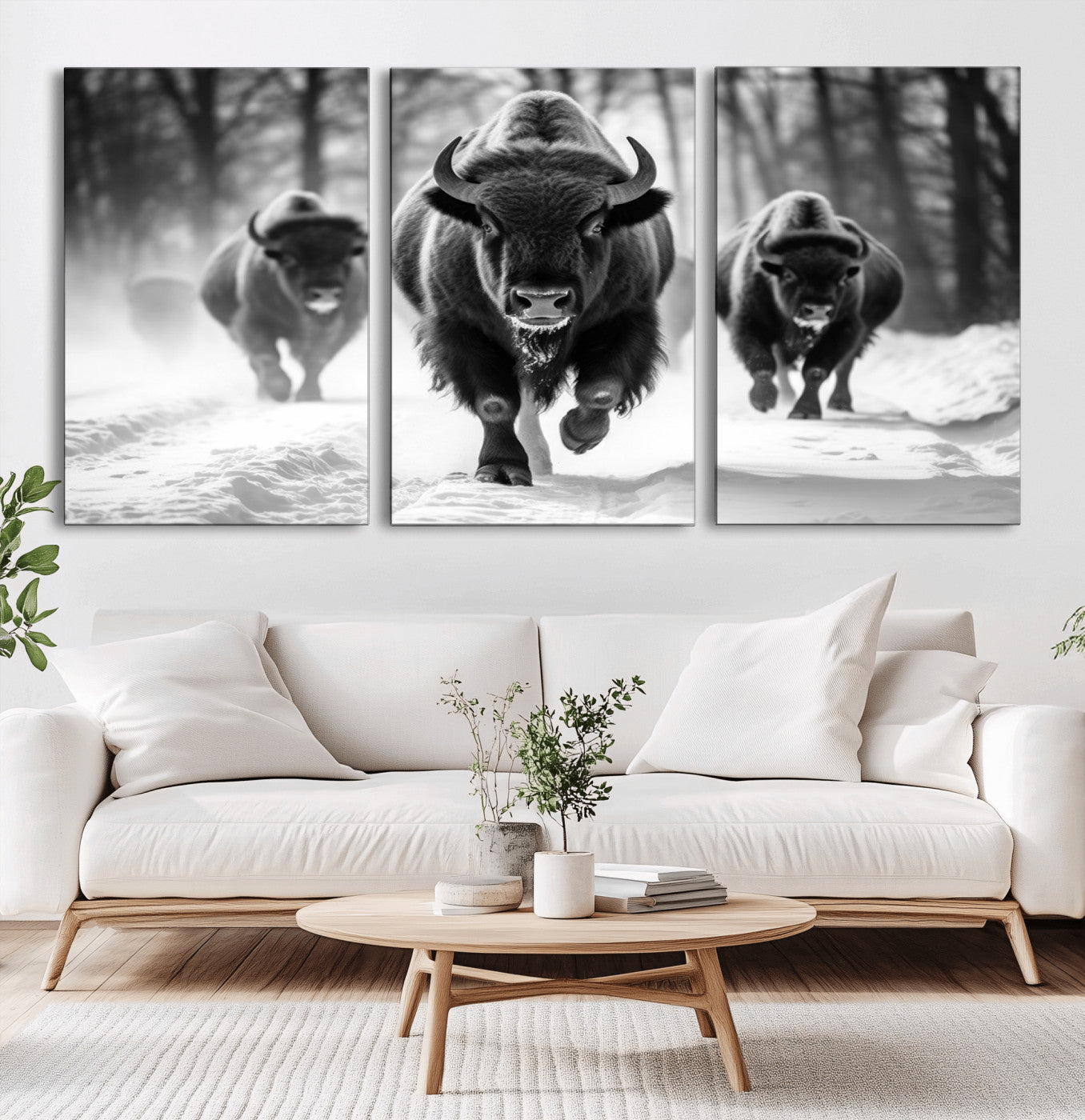 MGV-CV-60X30-3P - Buffalo Wall Art Canvas Print, Bison Family Wall Art Canvas Print