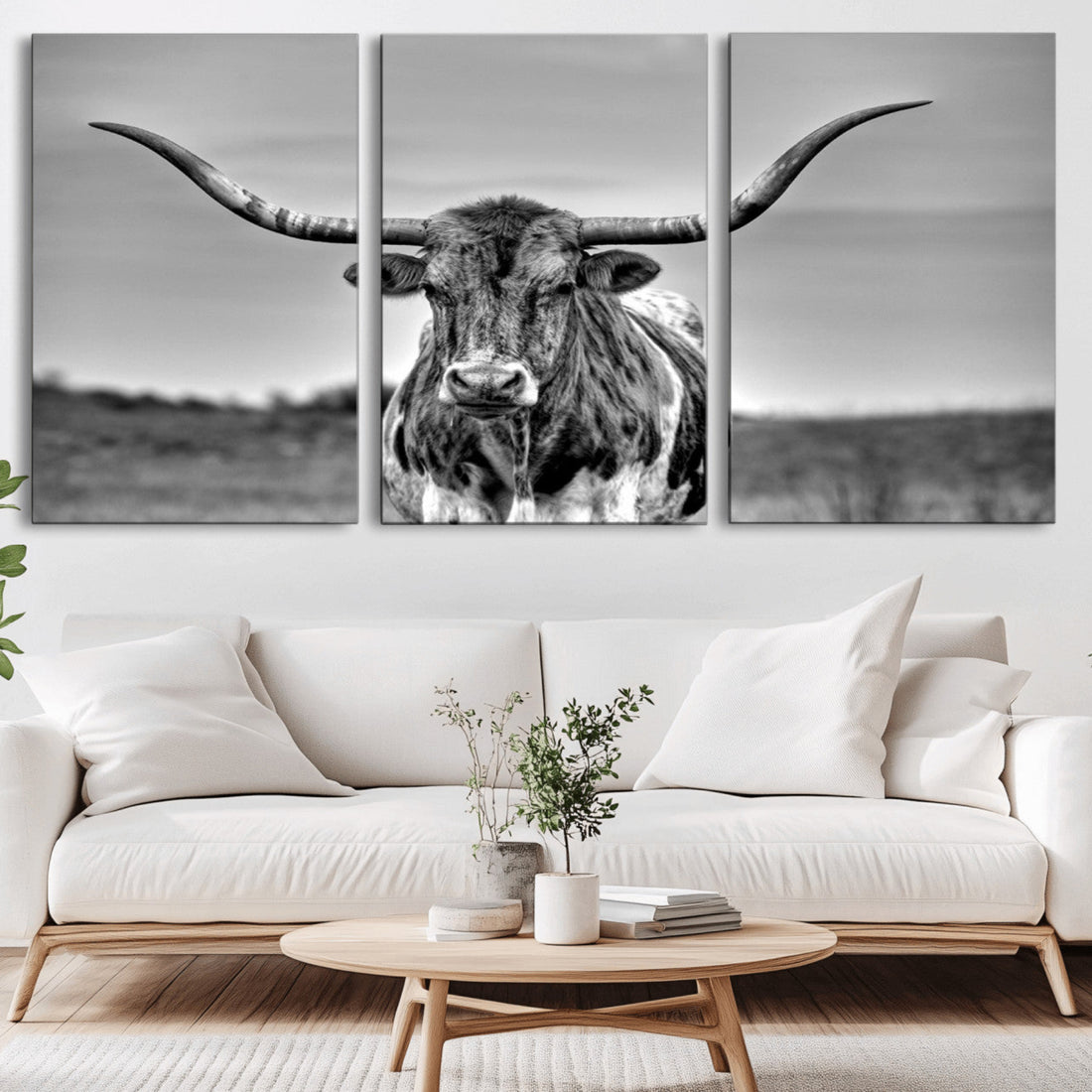 Texas Longhorn Cow Wall Art, Texas Longhorn Canvas, Cattle