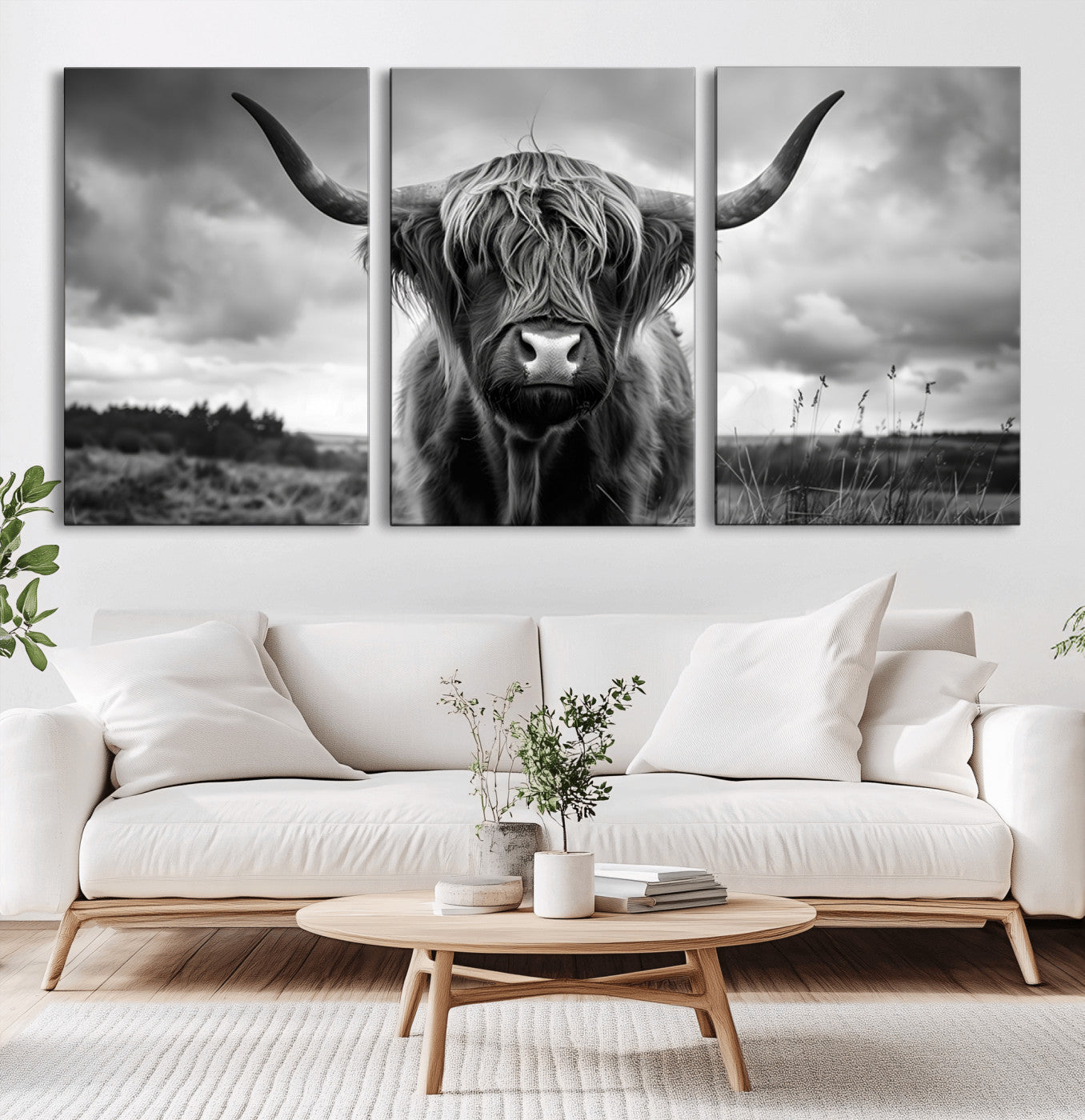-Scottish Cow Wall Art Canvas Print | Longhorn Wall Art | Bighorn Animal Wall Art