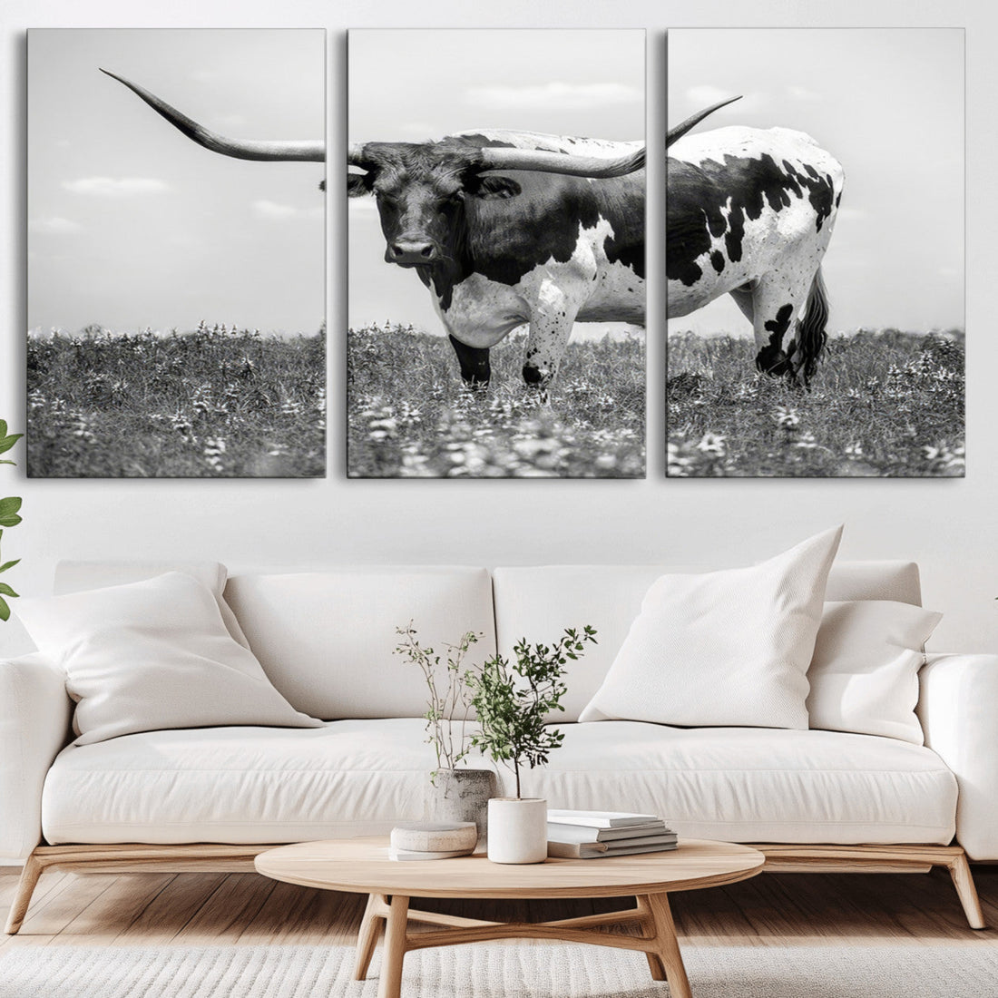 Texas Black White Highland Longhorn Cow Wall Art Canvas Print