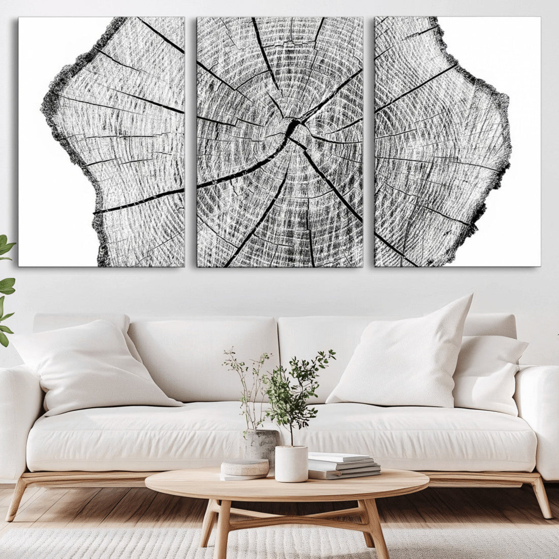 Rustic Tree Ring Wall Art Canvas Print, Framed and Ready to Hang