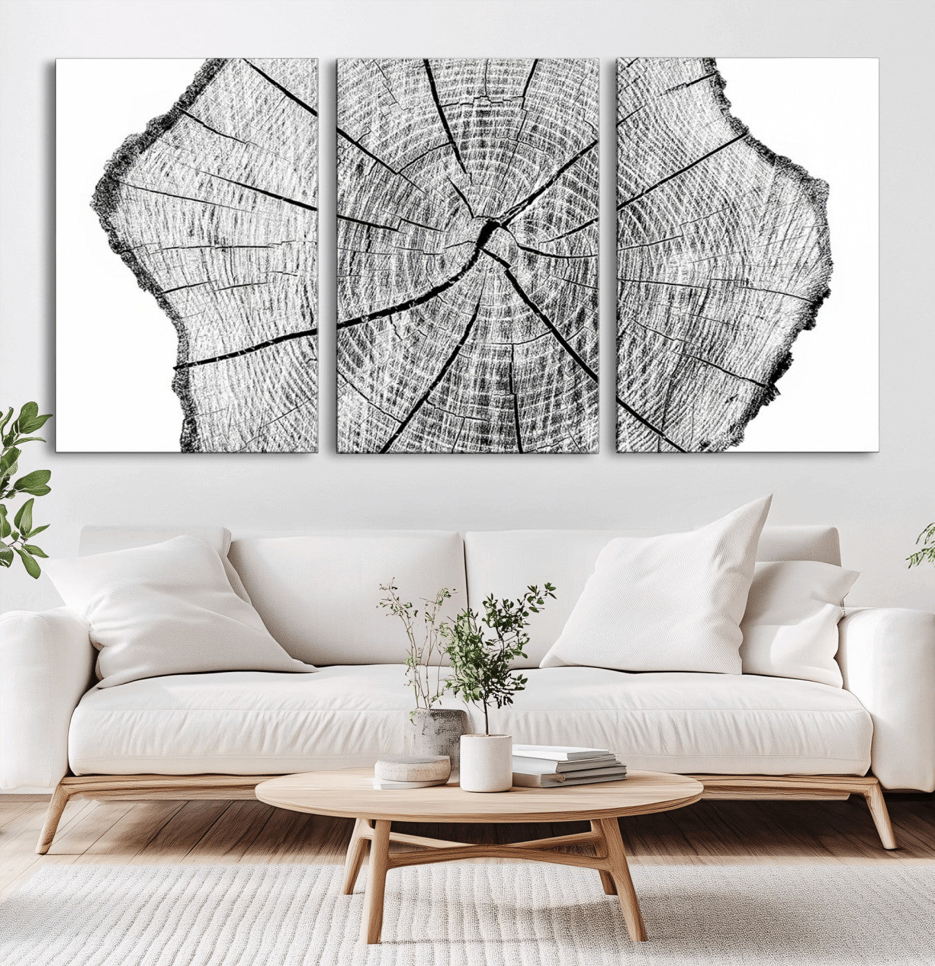 -Rustic Tree Ring Wall Art Canvas Print – Framed and Ready to Hang – Perfect for Nature-Inspired and