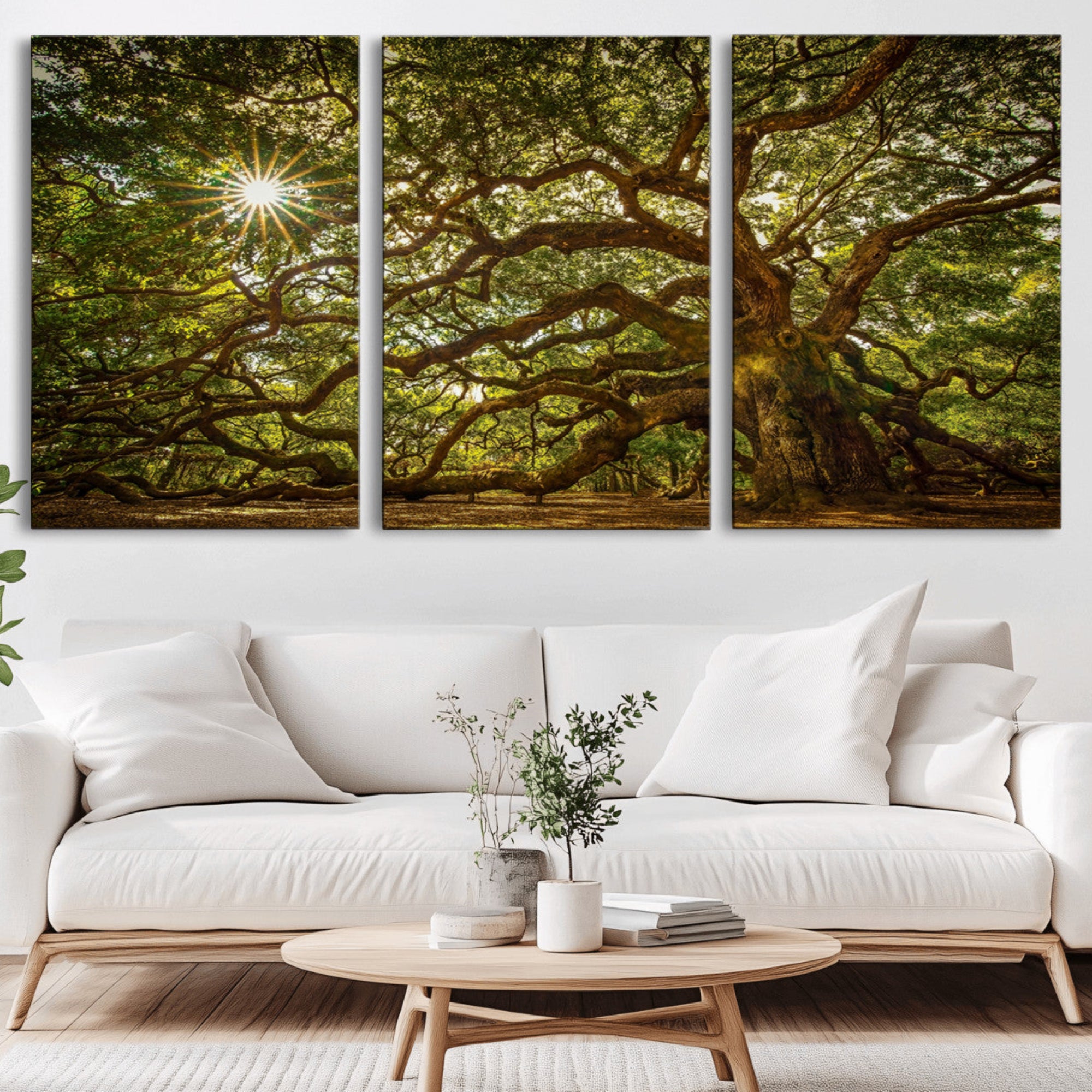 57983-MGV-CV-36X24-Ancient Angel Oak Tree Art Sunburst Canvas Print- Nature-Inspired Triptych Canvas Print, Framed,