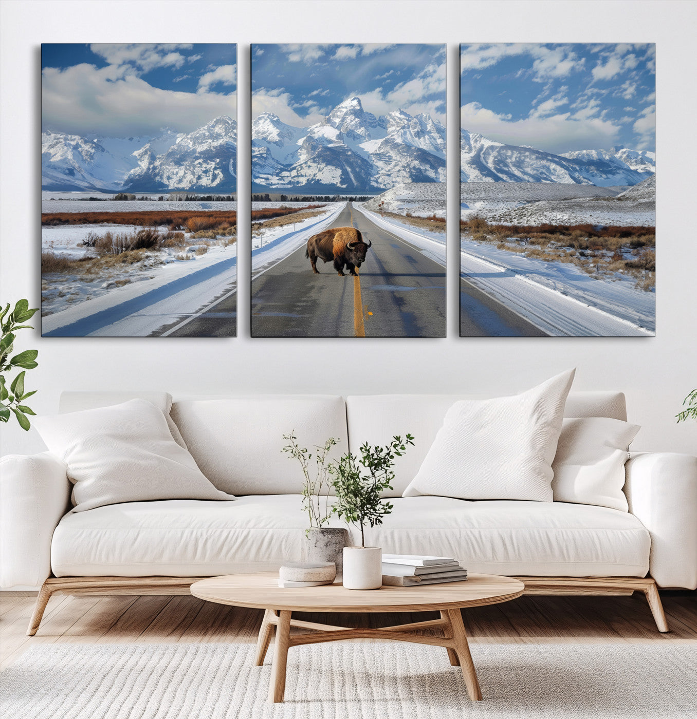 A powerful bison stands on a snow-dusted road beneath the towering peaks of the Grand Tetons, capturing the untamed beauty of America's winter wilderness.