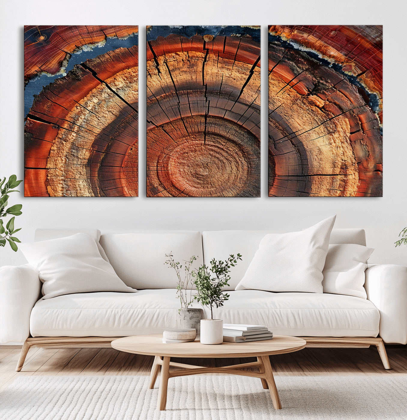 MGV-CV-60X30-3P - Abstract Tree Ring Art, Colorful Tree Ring Wall Decor, Minimalist Home Canvas Art, Modern Farmhouse