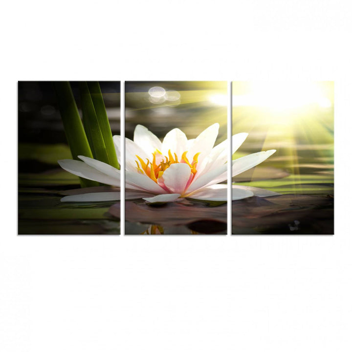 The Lotus Flower Wall Art Canvas Print showcases a white water lily with a yellow center floating gracefully in sunlight.