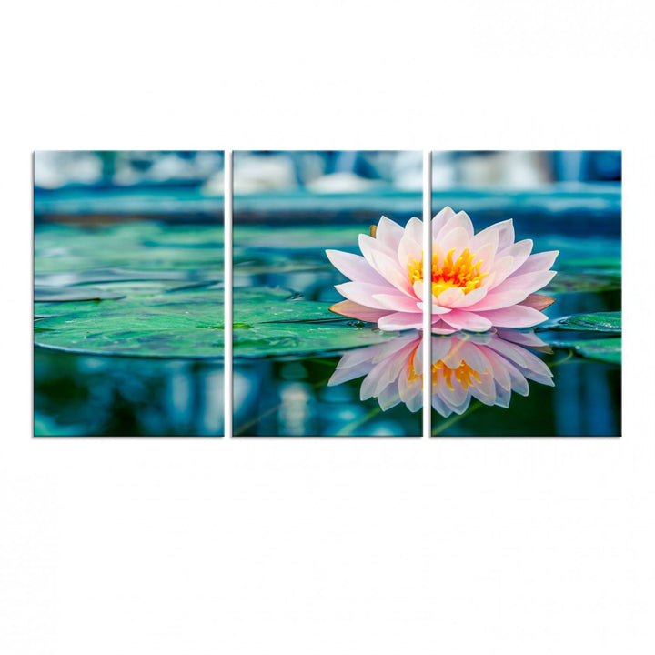 The Lotus Flower Canvas Print showcases a pink water lily with a yellow center gracefully floating on a calm pond.