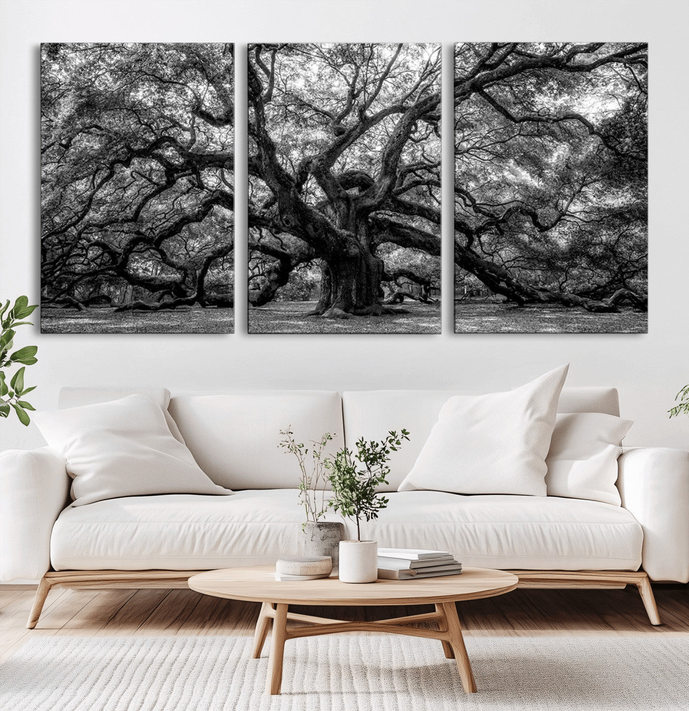 MGV-CV-60X30-3P - Black and White Old Angel Oak Tree Wall Art Canvas Print