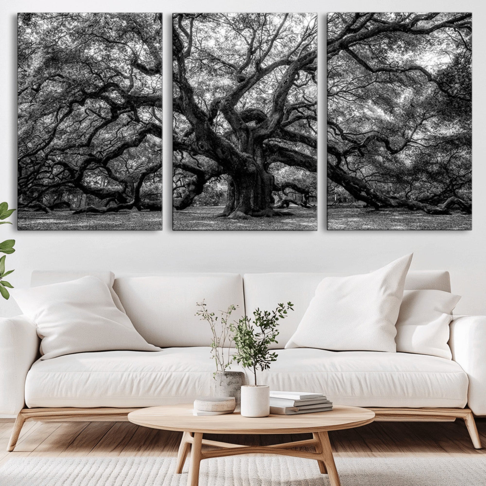 132944706-MGV-CV-36X24-Black and White Old Angel Oak Tree Wall Art Canvas Print