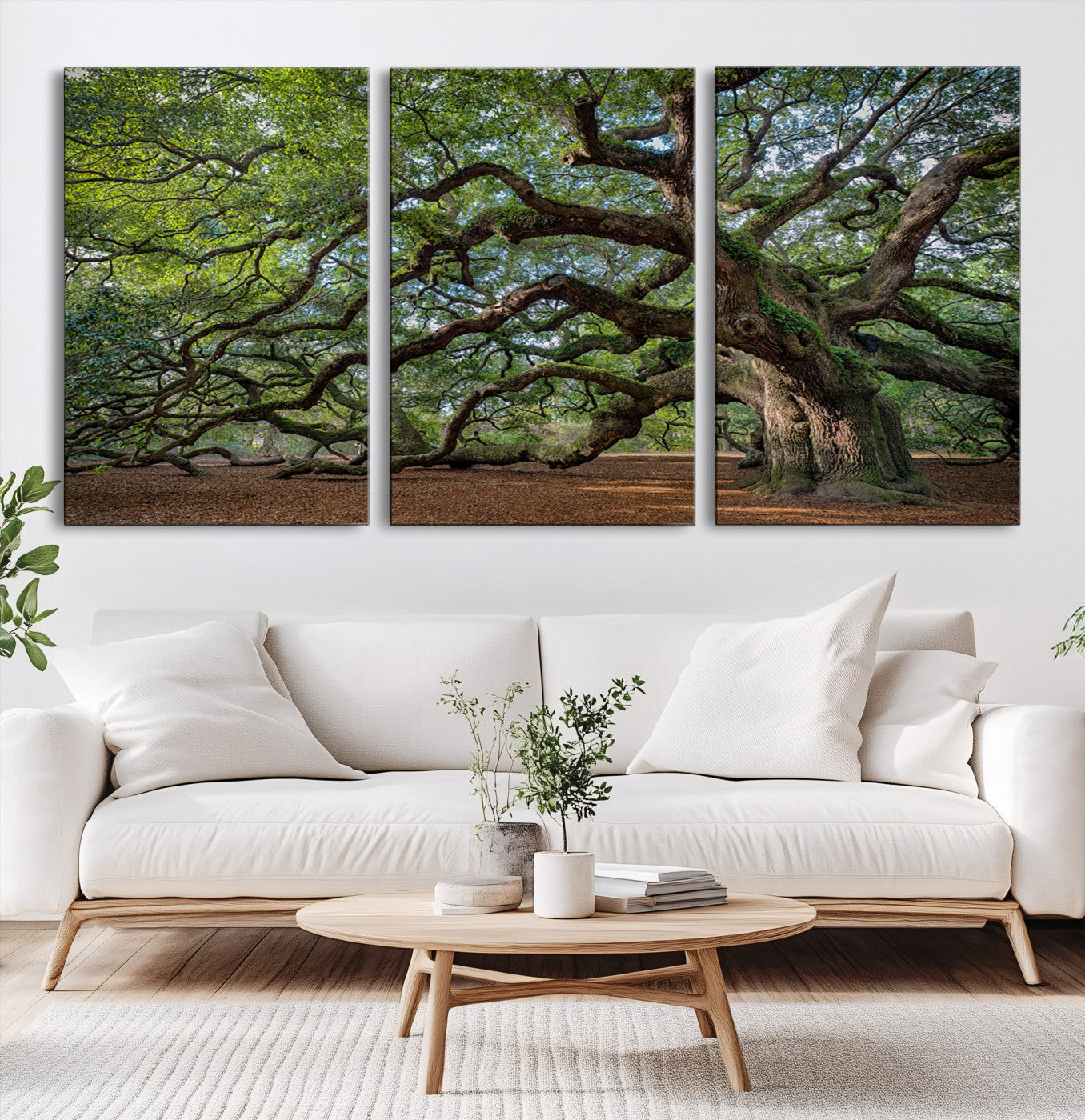 Canvas of the Angel Oak tree with sprawling limbs and mossy bark, ideal for earthy natural or rustic southern-inspired decor.